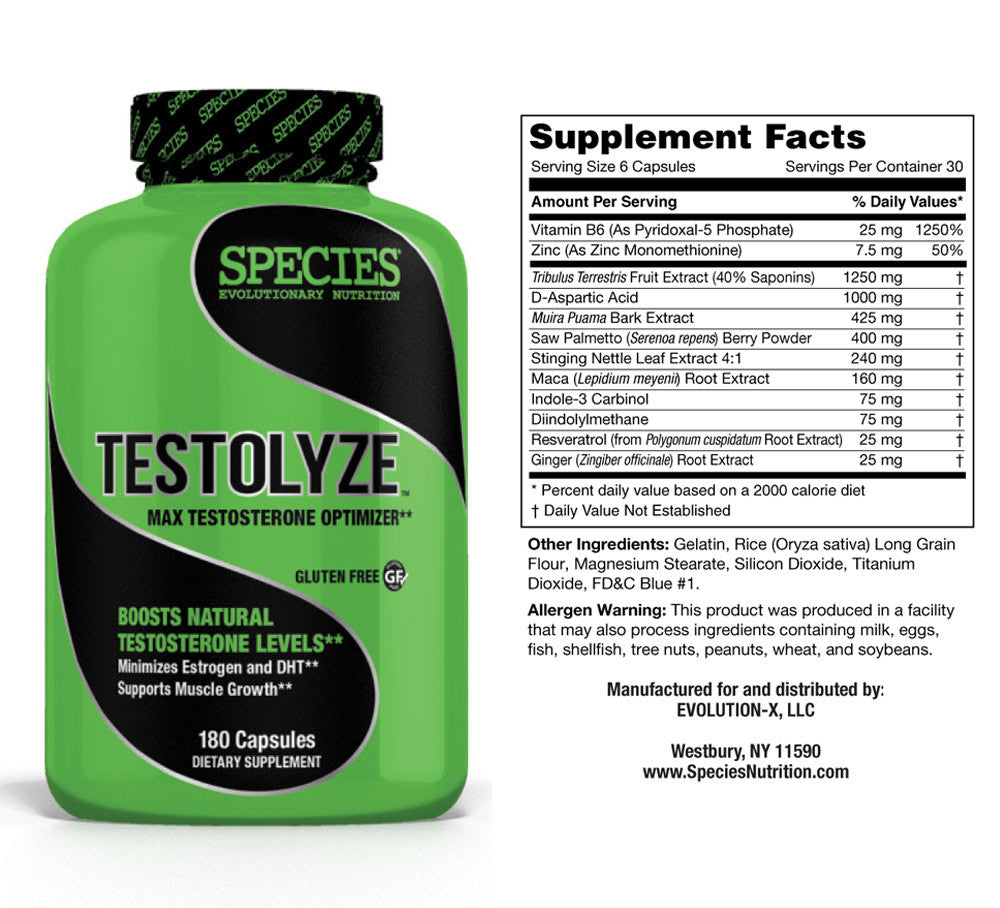 Testolyze