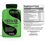 Testolyze