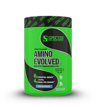 Amino Evolved