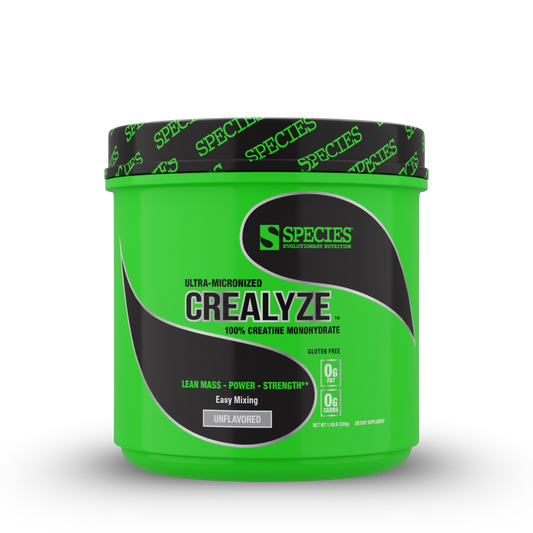 Crealyze - Front