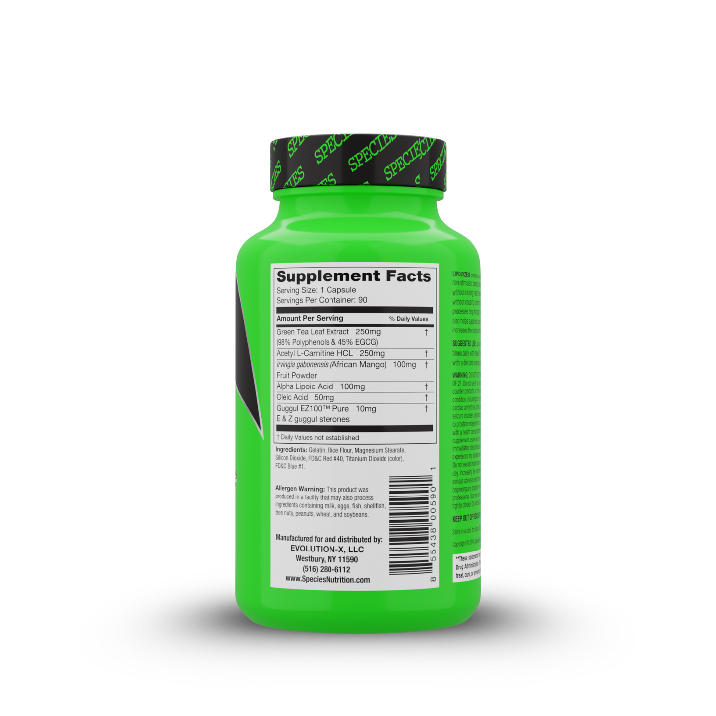 Lipolyze