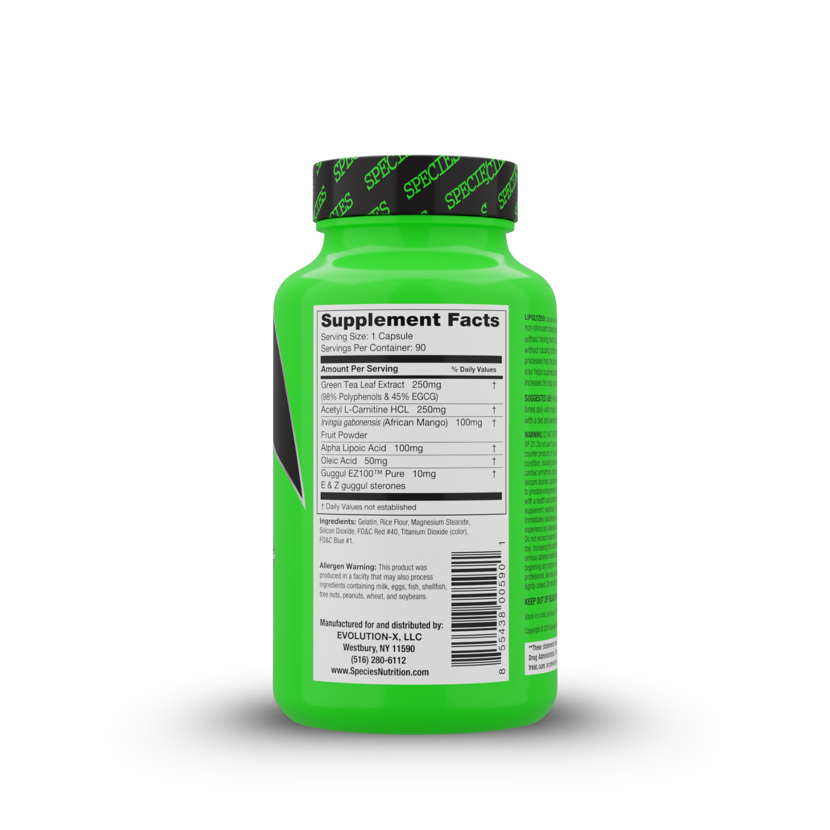 Lipolyze