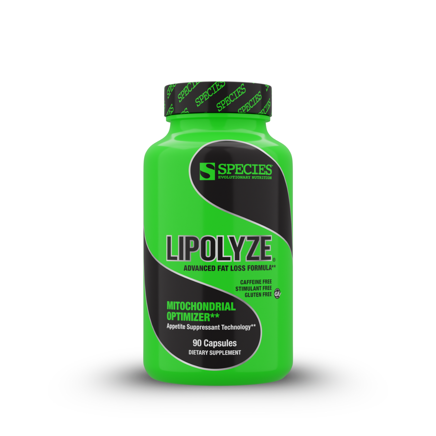 Lipolyze - Front