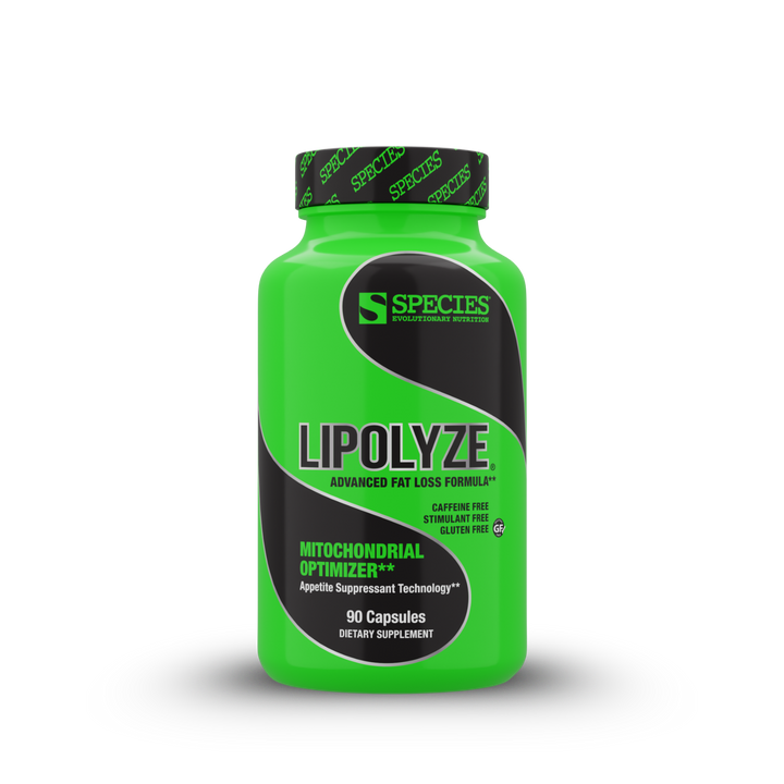 Lipolyze - Front