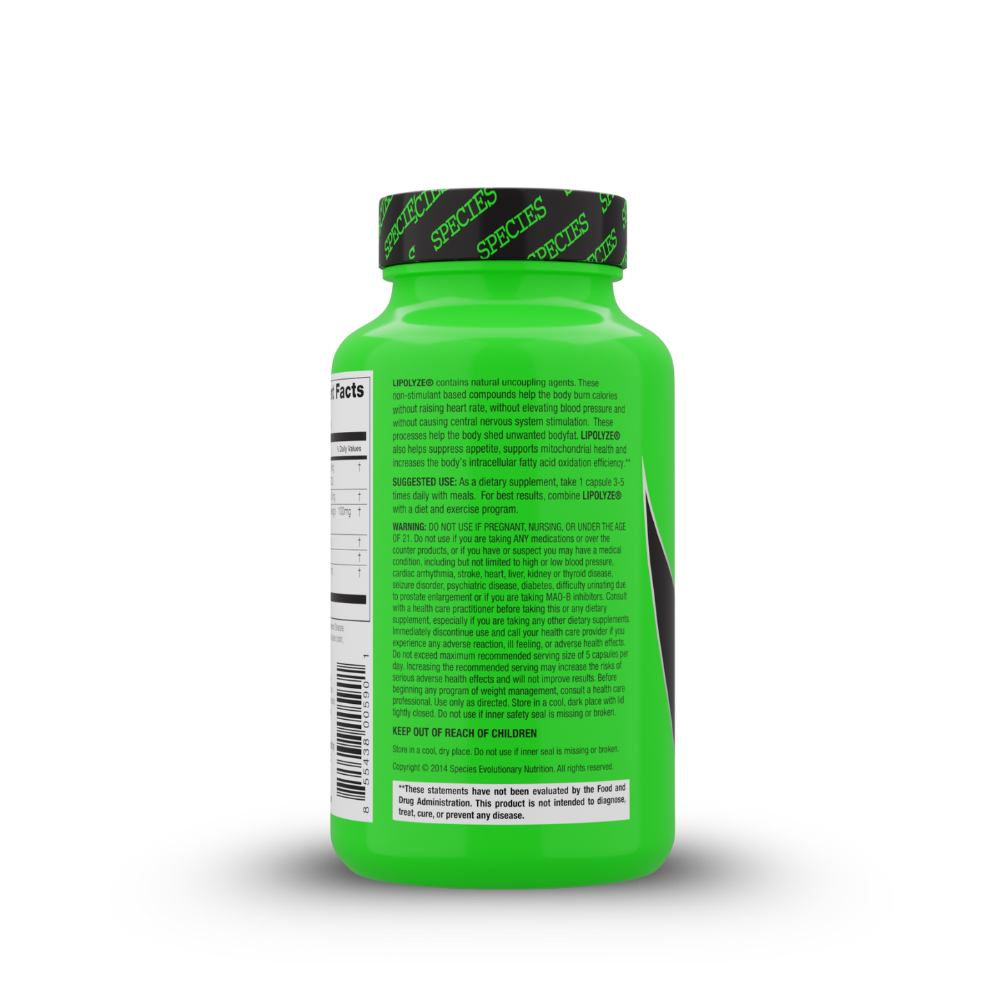 Lipolyze