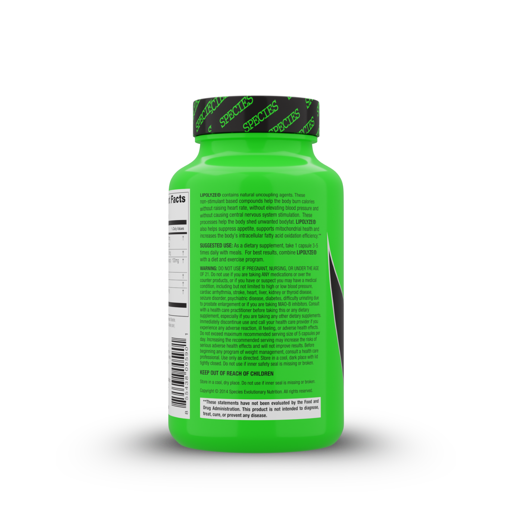 Lipolyze