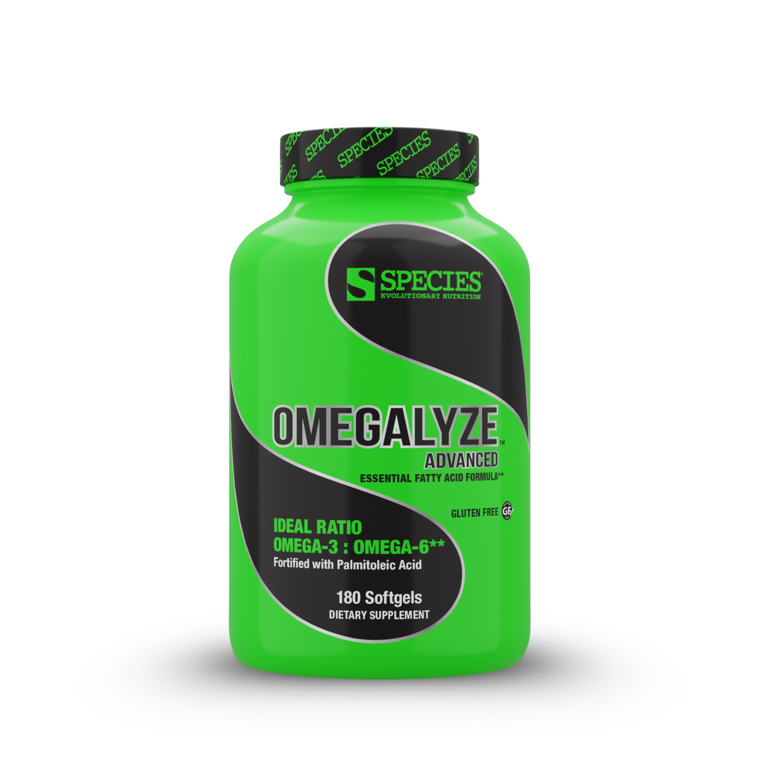 Omegalyze - Front