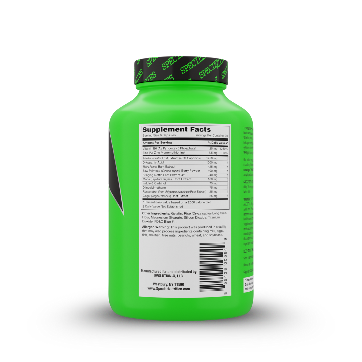 Testolyze