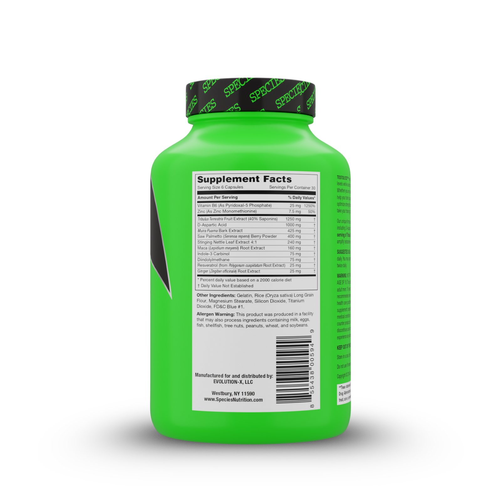 Testolyze