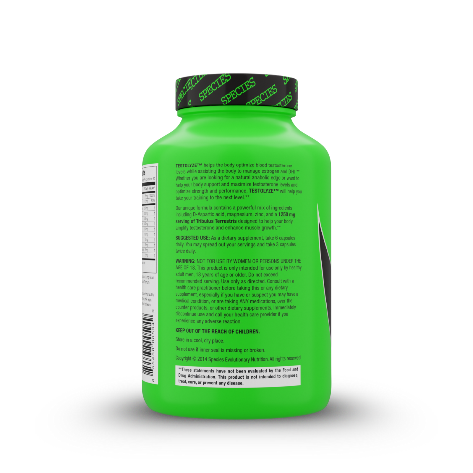 Testolyze