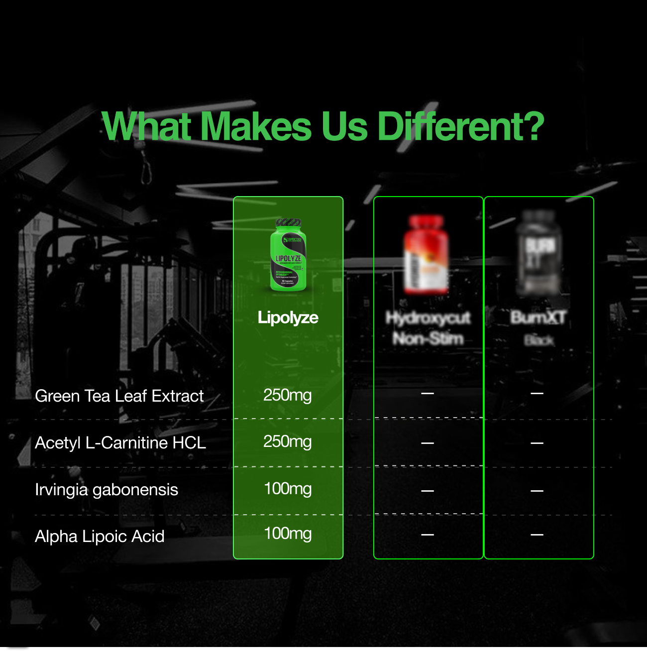 Lipolyze - Us vs Them