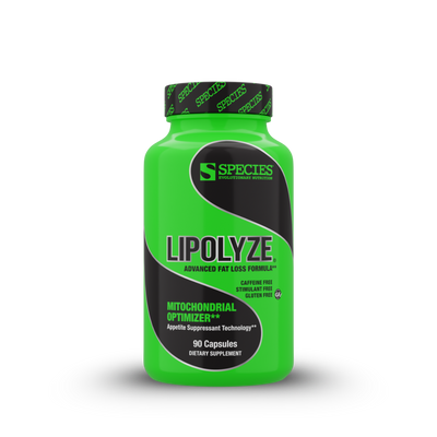 Lipolyze