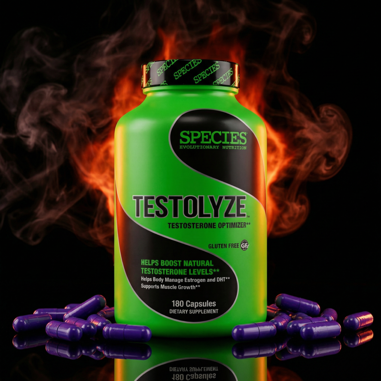Testolyze - Hero Dark