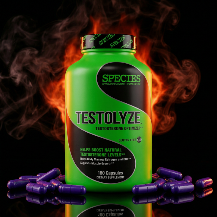 Testolyze - Hero Dark
